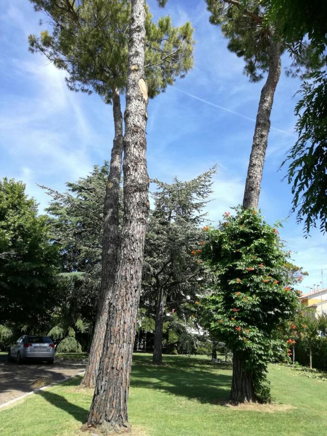 B&B Villa Lupidi Corridonia Bagian luar foto