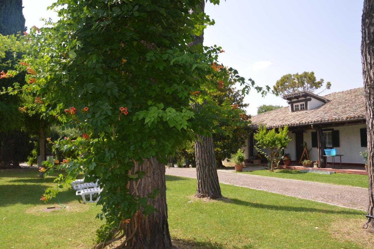 B&B Villa Lupidi Corridonia Bagian luar foto