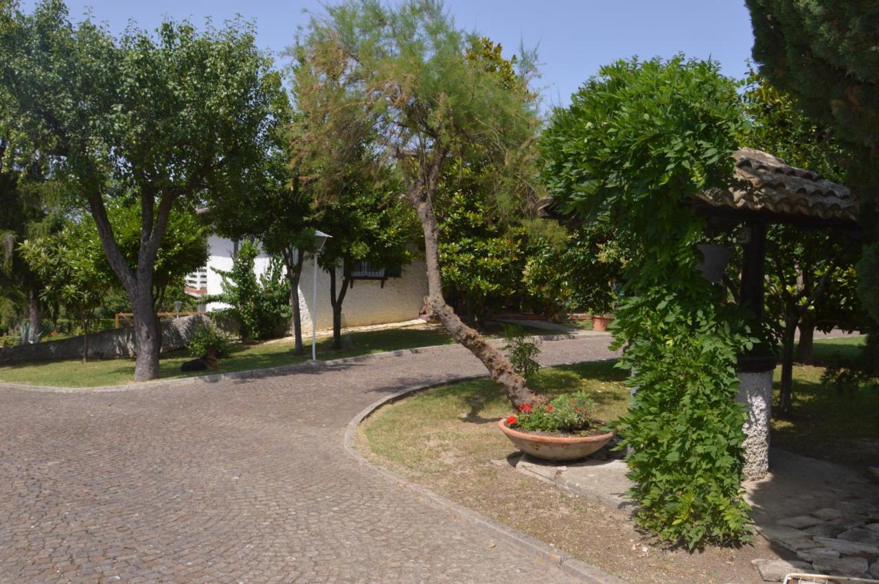 B&B Villa Lupidi Corridonia Bagian luar foto