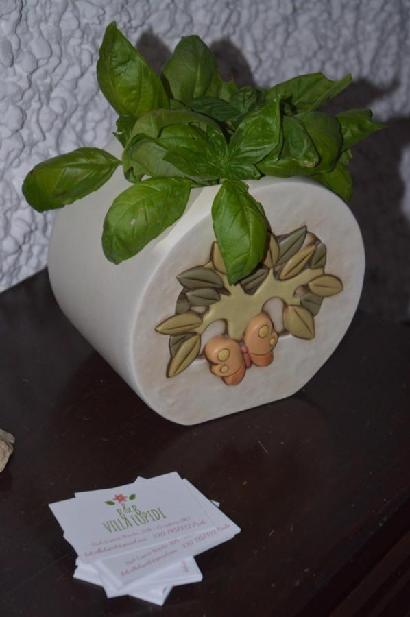 B&B Villa Lupidi Corridonia Bagian luar foto
