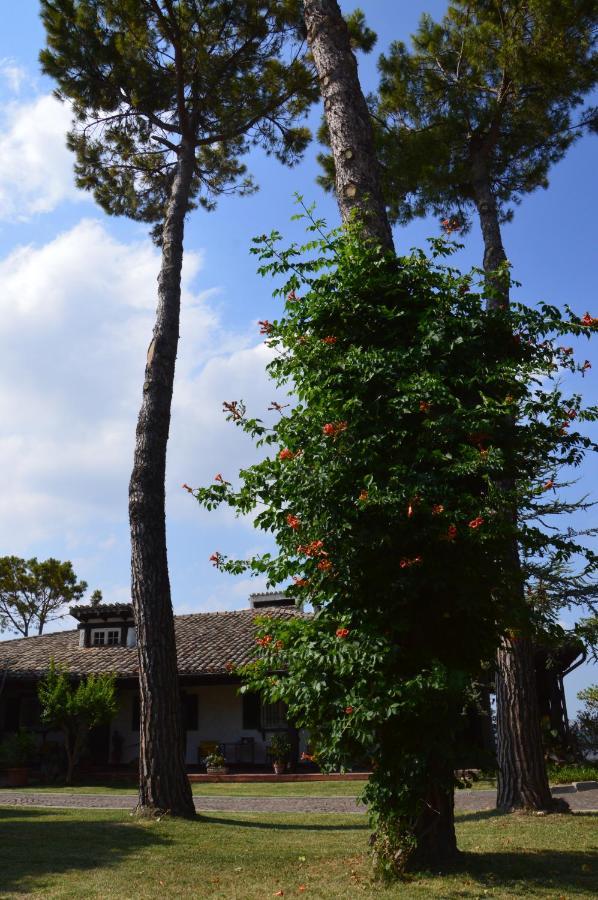 B&B Villa Lupidi Corridonia Bagian luar foto