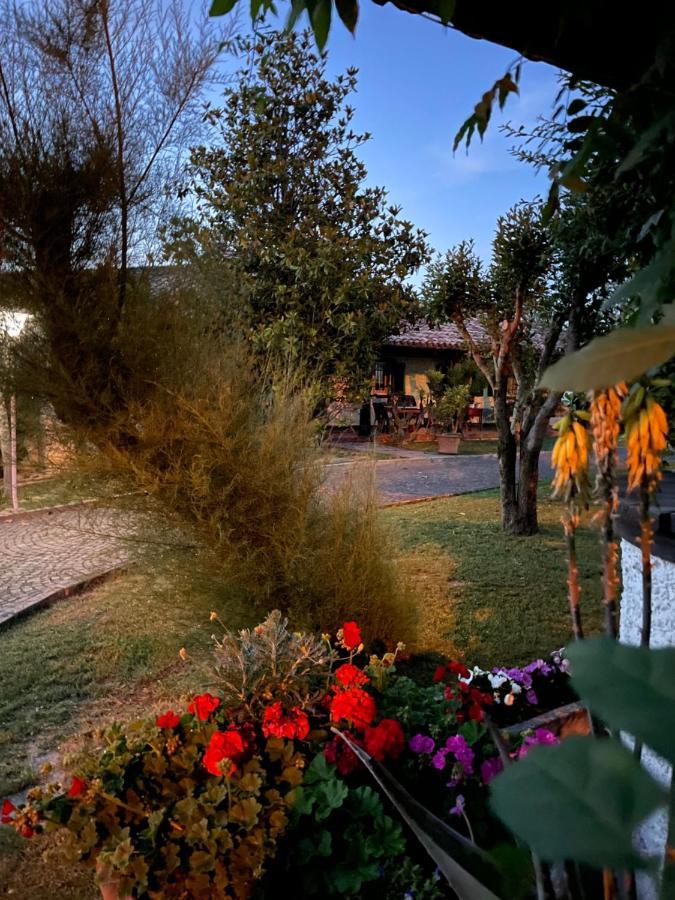 B&B Villa Lupidi Corridonia Bagian luar foto